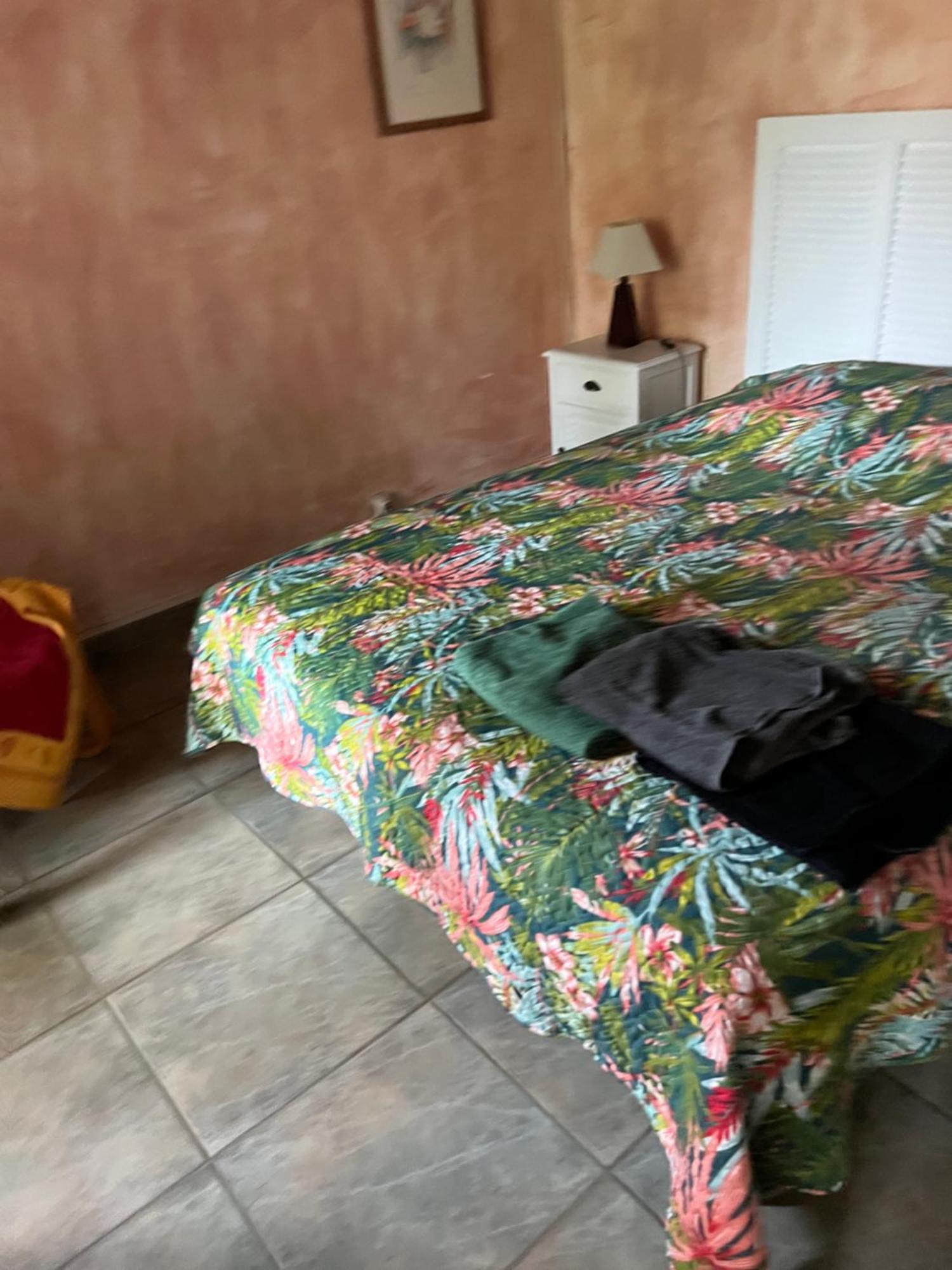 La Maison Sur La Place Aigues-Mortes Eksteriør billede